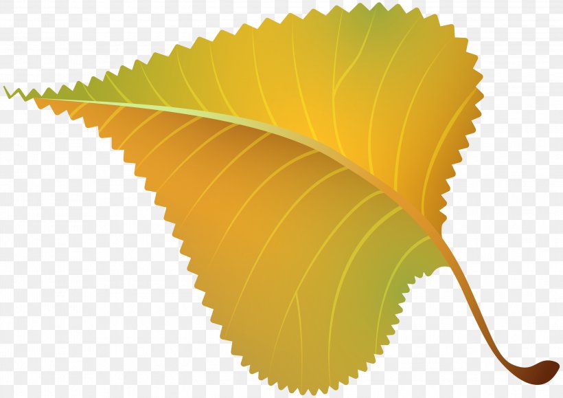 Leaf Yellow Clip Art Plant Line, PNG, 2999x2120px, Leaf, Flower, Plant, Yellow Download Free