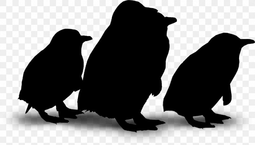 Penguin Fauna Silhouette Beak, PNG, 911x519px, Penguin, Beak, Bird, Fauna, Flightless Bird Download Free