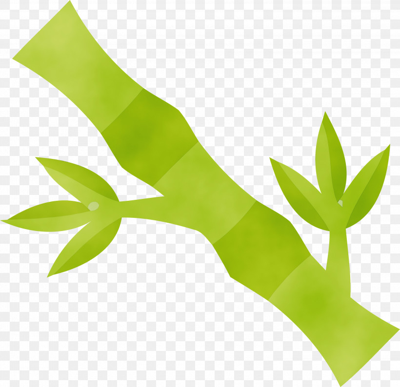 Plant Stem Leaf Grasses Family Plants, PNG, 3000x2908px, Pongal, Biology, Family, Grasses, Leaf Download Free