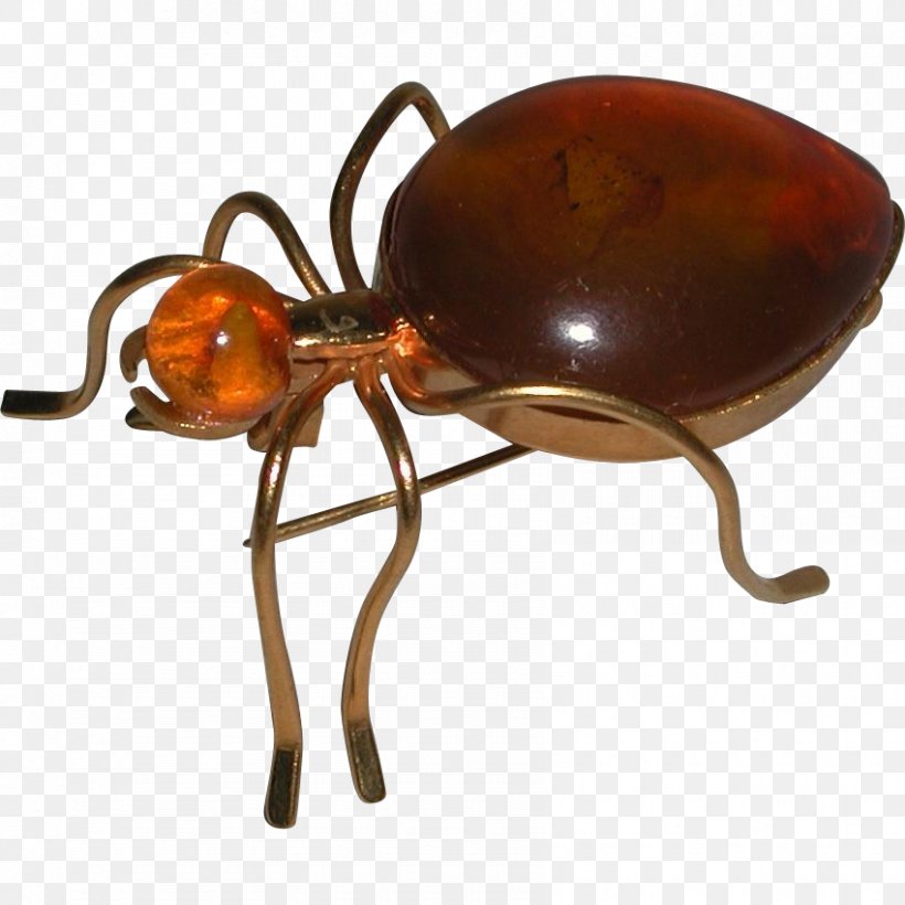 Brooch Pin Jewellery Ant Cabochon, PNG, 850x850px, Brooch, Amber, Ant, Arthropod, Beetle Download Free