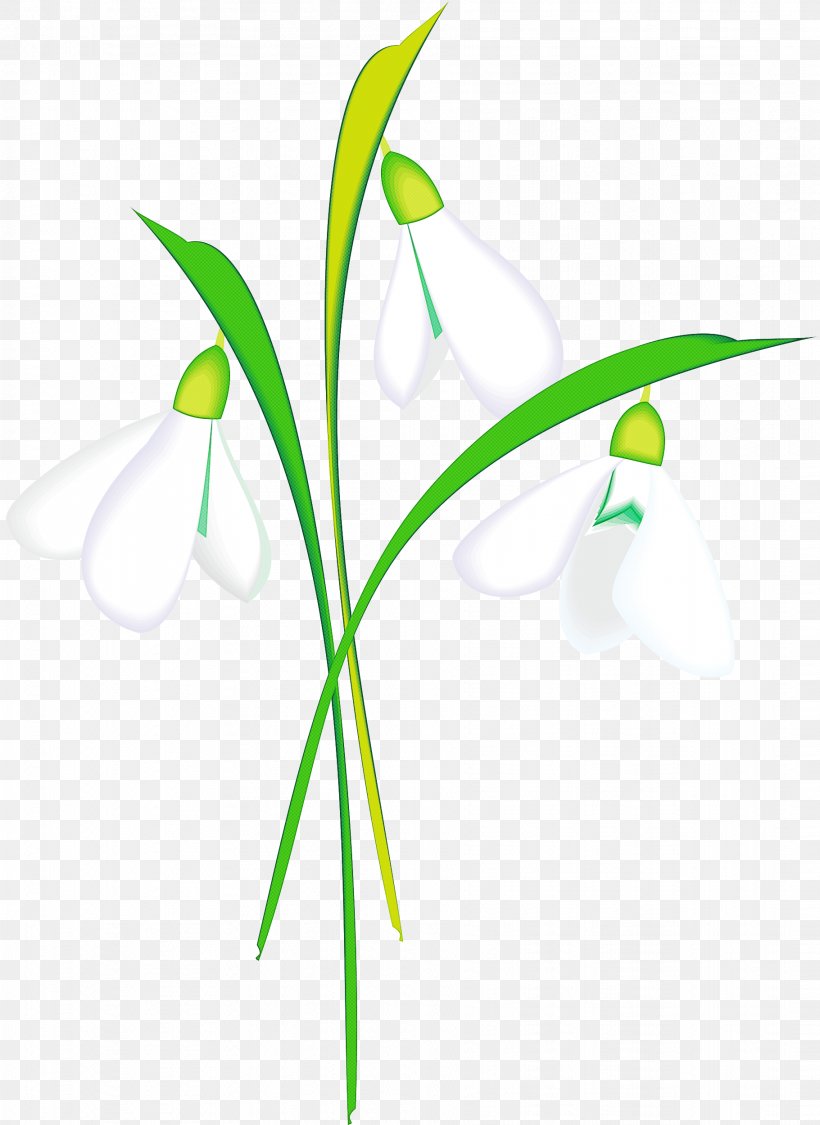 Green Grass Background, PNG, 1821x2500px, Flower, Branch, Grass, Grass Family, Grasses Download Free
