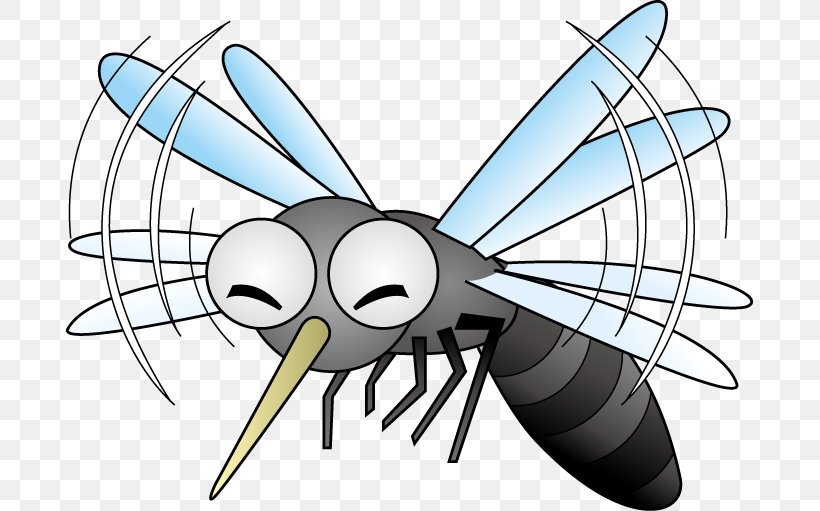 Insect Mosquito Fly Chironomidae 虫, PNG, 687x511px, Insect, Aquatic Insect, Arthropod, Artwork, Cartoon Download Free