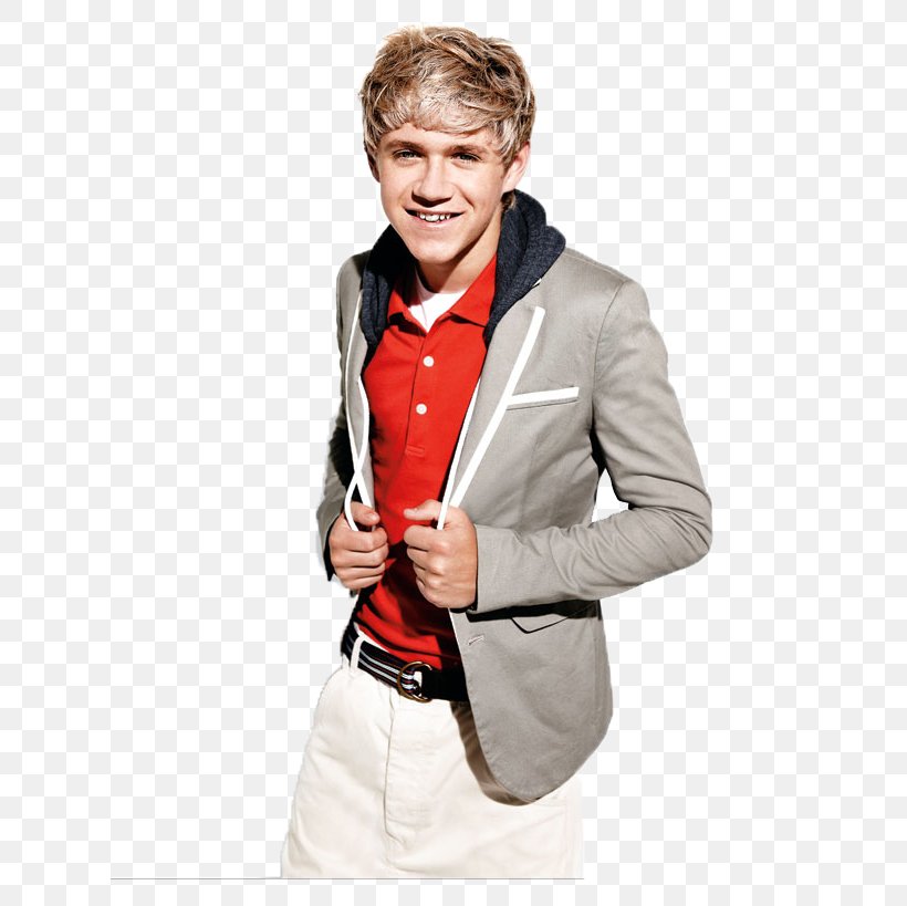 Niall Horan One Direction: This Is Us Mullingar, PNG, 619x819px, Watercolor, Cartoon, Flower, Frame, Heart Download Free