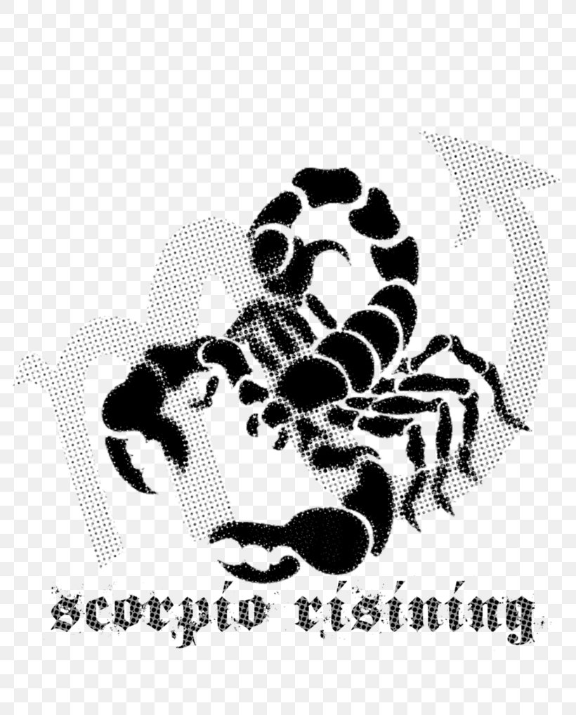 Scorpion Vector Graphics Clip Art Image Illustration, PNG, 785x1018px, Scorpion, Black And White, Brand, Carnivoran, Cat Like Mammal Download Free