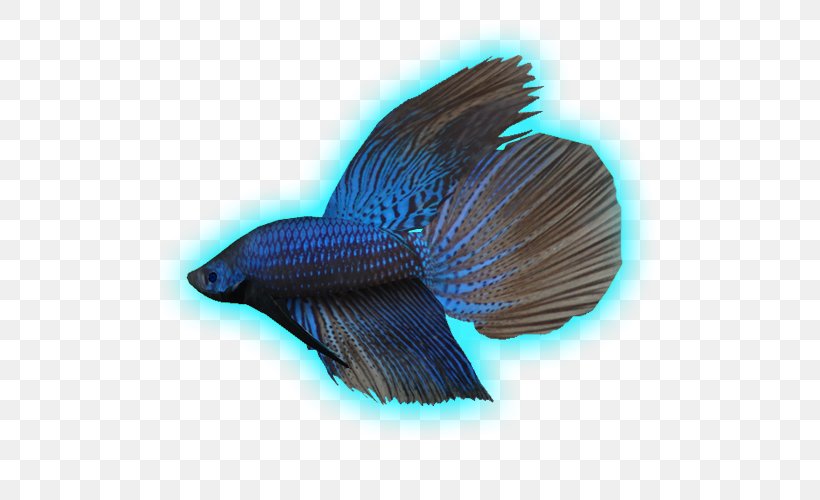 Marine Biology Fauna Tail Fish, PNG, 500x500px, Marine Biology, Biology, Blue, Cobalt Blue, Electric Blue Download Free