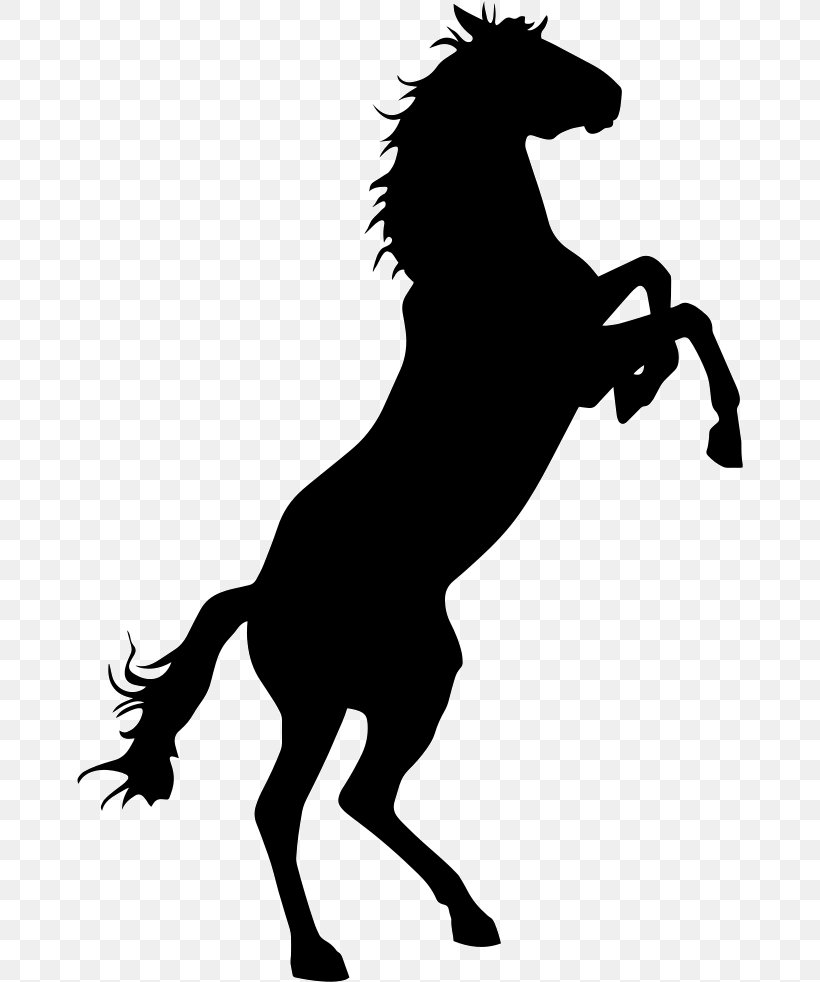 Mustang Bronco Bucking Criollo Horse Stallion, PNG, 666x982px, Mustang, Animal Figure, Black And White, Bronc Riding, Bronco Download Free