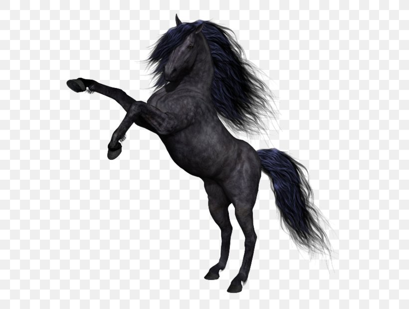 Mustang Pony Black Clip Art, PNG, 600x619px, Mustang, Black, Black And White, Bridle, Canter And Gallop Download Free
