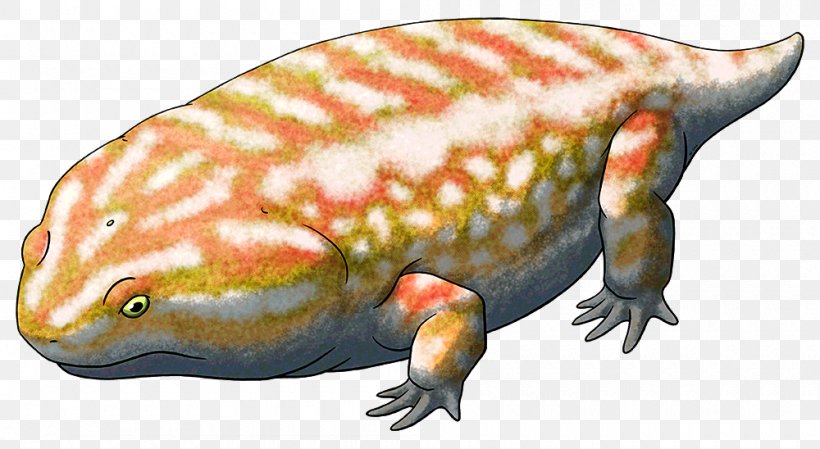 Dimetrodon Platyhystrix Temnospondyli Ctenospondylus Edaphosaurus, PNG, 1000x548px, Dimetrodon, Amphibian, Animal, Animal Source Foods, Carnivoran Download Free