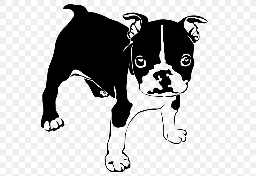 French Bulldog American Bulldog Boston Terrier Puppy, PNG, 800x566px, French Bulldog, American Bulldog, Animal, Animal Rescue Group, Black And White Download Free