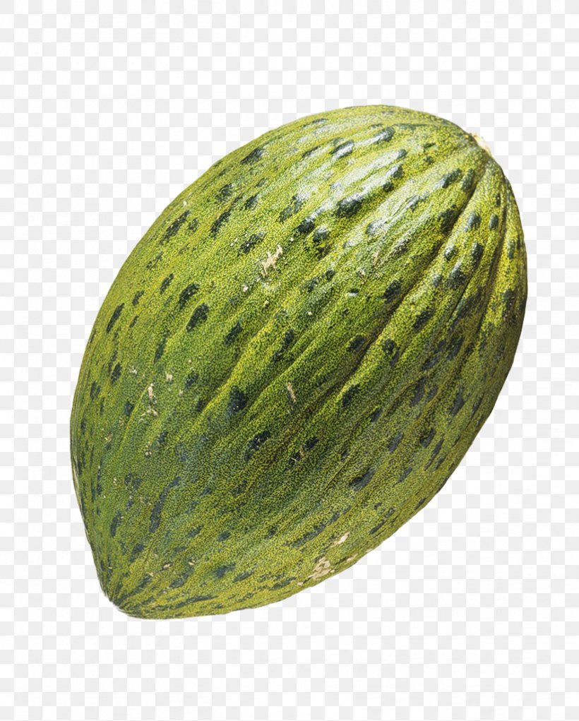 Spain Cucumber Cantaloupe Melon, PNG, 822x1024px, Spain, Auglis, Cantaloupe, Cucumber, Cucumber Gourd And Melon Family Download Free