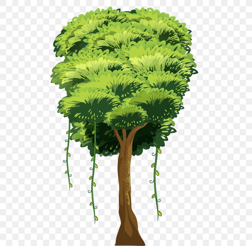 Vector Graphics Tree Clip Art Stock Photography, PNG, 544x800px, Tree, Bonsai, Botany, Drawing, Elm Download Free