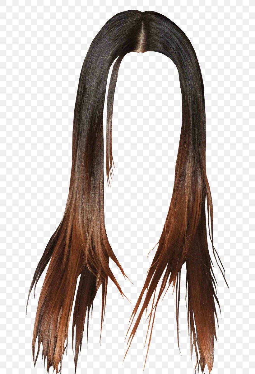 Black Hair Wig Long Hair Brown Hair, PNG, 650x1200px, Hair, Black, Black Hair, Brown, Brown Hair Download Free