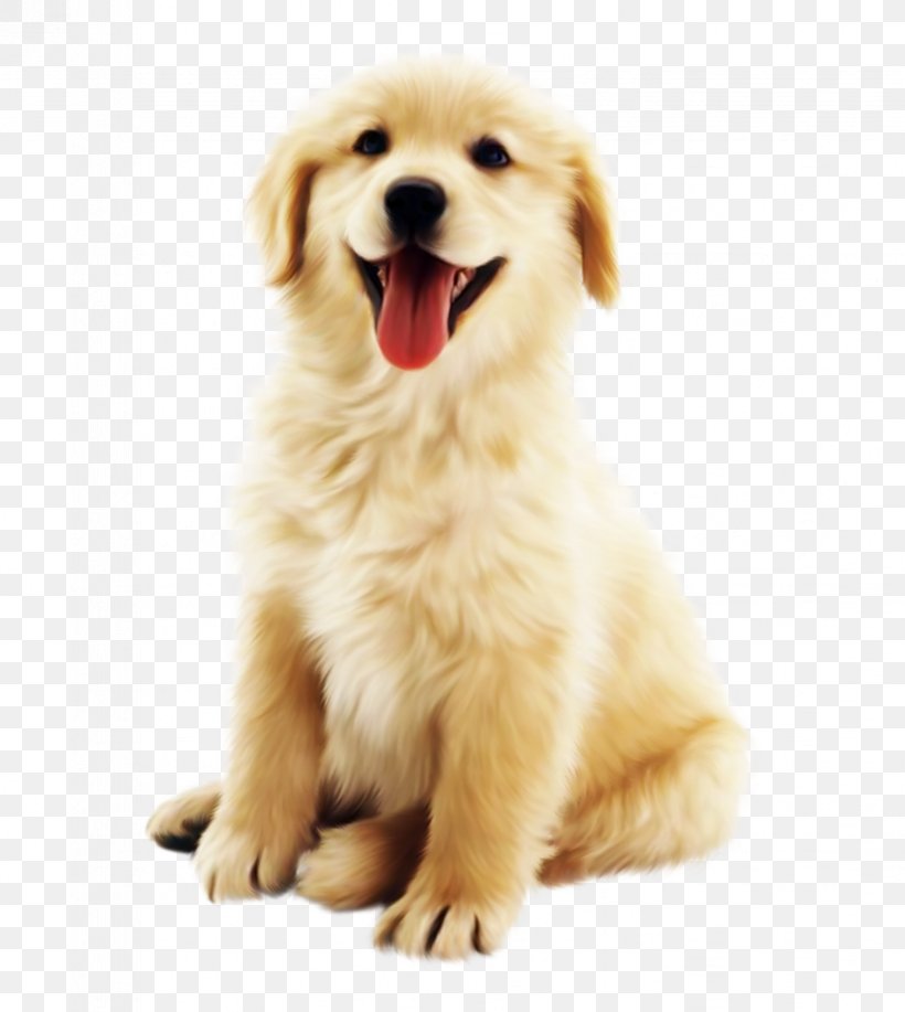 Cute Golden Pet Dog, PNG, 823x921px, Watercolor, Cartoon, Flower, Frame, Heart Download Free