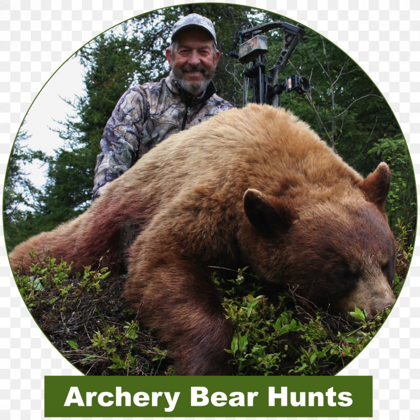 Grizzly Bear Bear Hunting Outfitter, PNG, 1198x1198px, Grizzly Bear, Bear, Bear Hunting, Brown Bear, Carnivoran Download Free