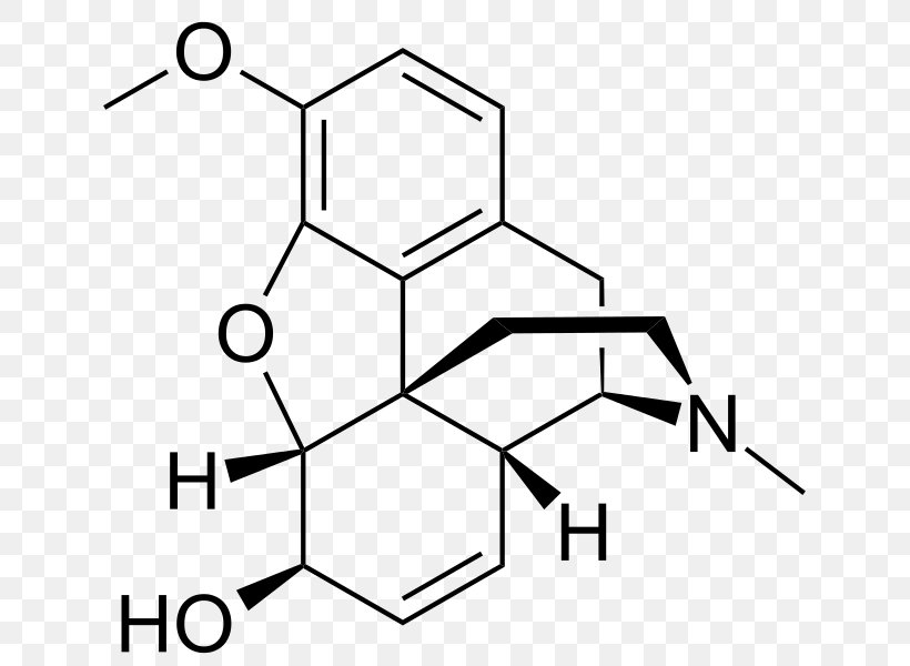 Morphine-6-glucuronide Opioid Morphine-N-oxide Alprazolam, PNG, 655x600px, Morphine, Alprazolam, Analgesic, Area, Aspirin Download Free