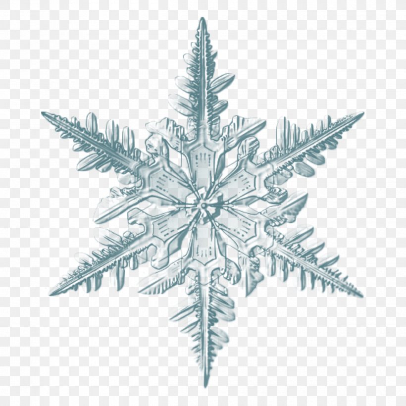 Snowflake Image Microscope Photograph, PNG, 2500x2500px, Snowflake, Colorado Spruce, Crystal, Hemp Family, Ice Download Free