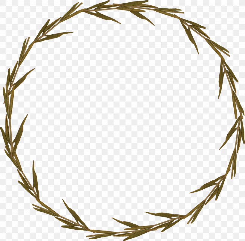 Twig Picture Frames Flower Clip Art, PNG, 2600x2561px, Twig, Branch, Commodity, Drawing, Flower Download Free