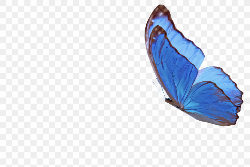 Feather, PNG, 2444x1636px, Blue, Butterfly, Feather, Leaf, Wing Download Free