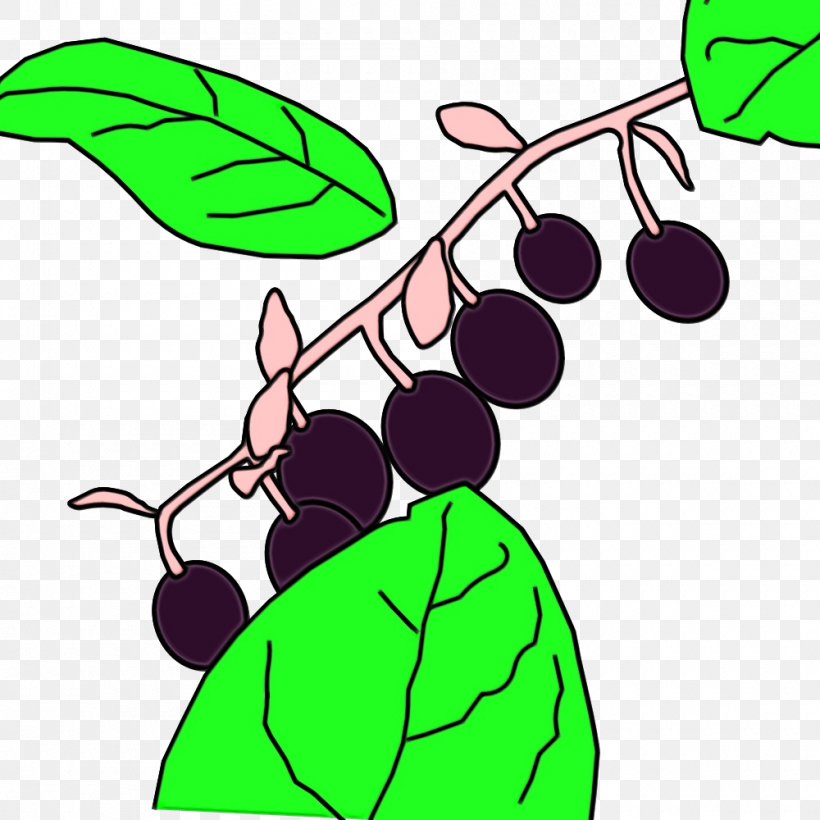Grape Leaf, PNG, 1000x1000px, Plant Stem, Branch, Flower, Fruit, Grape Download Free