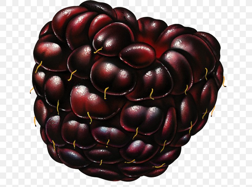 Mulberry Mûre Raspberry Fruit, PNG, 699x607px, Mulberry, Auglis, Berry, Bilberry, Blackberry Download Free