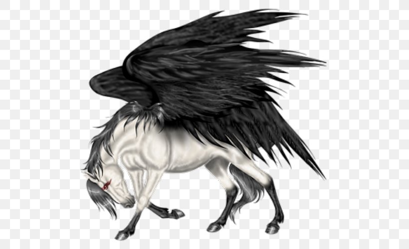 Pegasus Flying Horses Howrse Wing, PNG, 500x500px, Pegasus, American Crow, Beak, Bird, Bird Of Prey Download Free