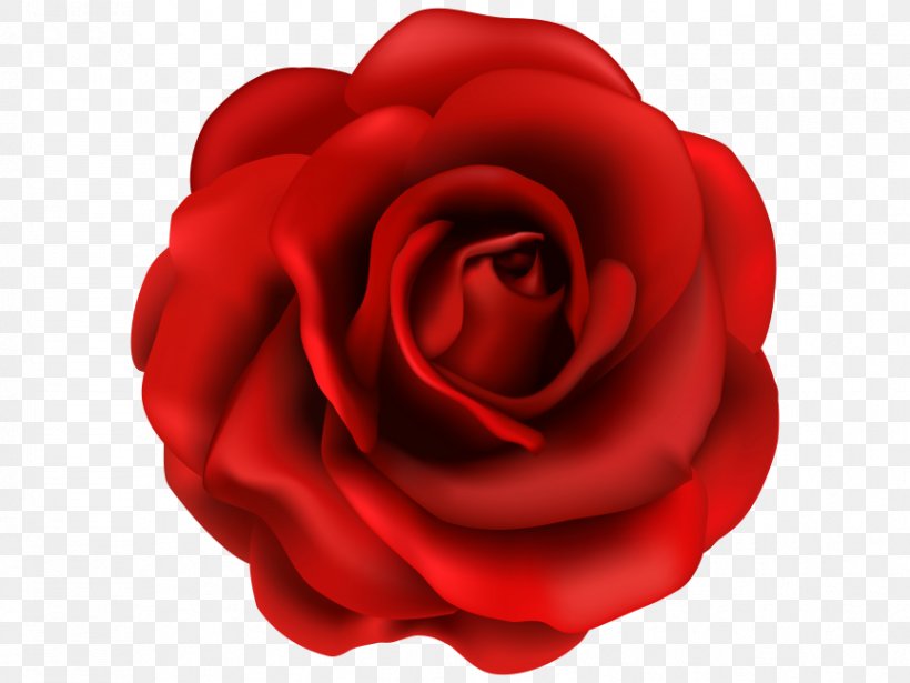 Rose Clip Art Flower Image, PNG, 866x650px, Rose, Art, Artificial Flower, Blue Rose, Camellia Download Free