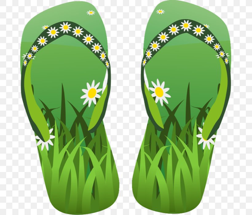 Flip-flops Sandal Clip Art, PNG, 687x700px, Flip Flops, Footwear, Grass, Green, Illustration Download Free
