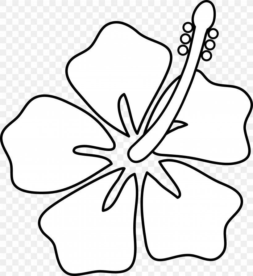 Hawaii Drawing Hibiscus Flower Clip Art, PNG, 5922x6462px, Hawaii, Art, Art Museum, Black, Black And White Download Free