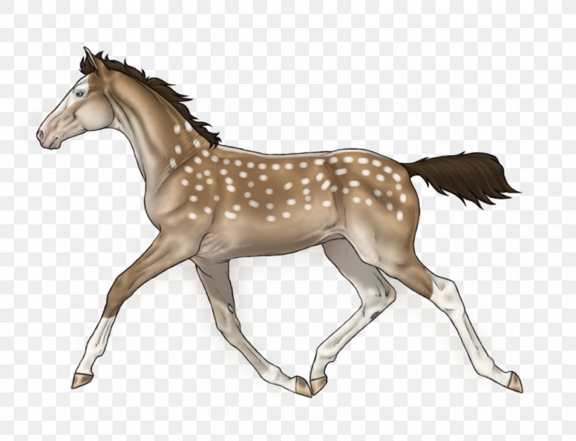 Mustang Foal Colt Stallion Mare, PNG, 1020x783px, Mustang, Animal Figure, Bridle, Colt, Deviantart Download Free