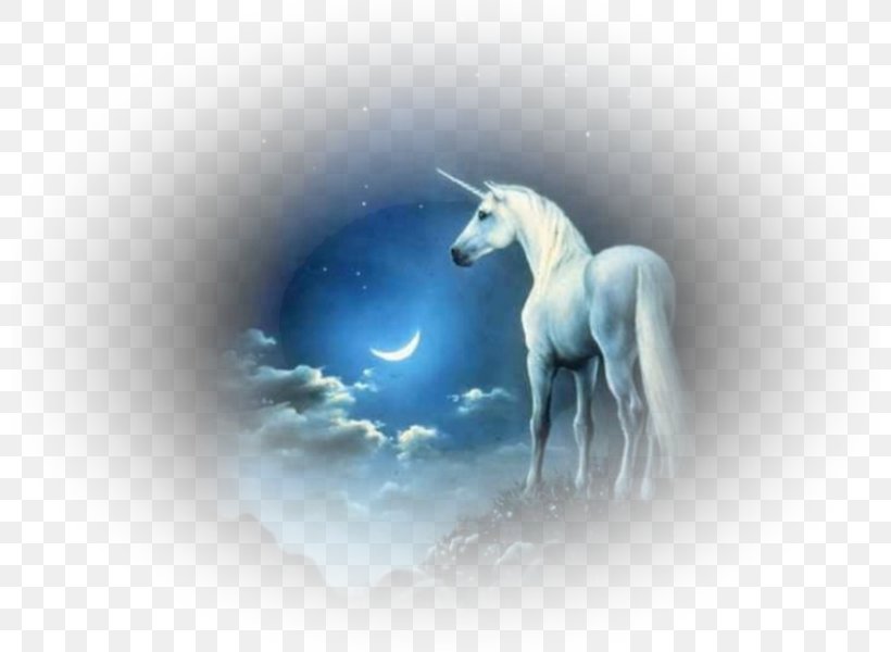 Unicorn Animation Pegasus Desktop Wallpaper, PNG, 800x600px, Unicorn, Animation, Blingee, Fairy, Fictional Character Download Free