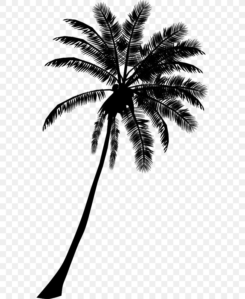 Arecaceae Drawing Clip Art, PNG, 575x1000px, Arecaceae, Arecales, Art, Black And White, Borassus Flabellifer Download Free