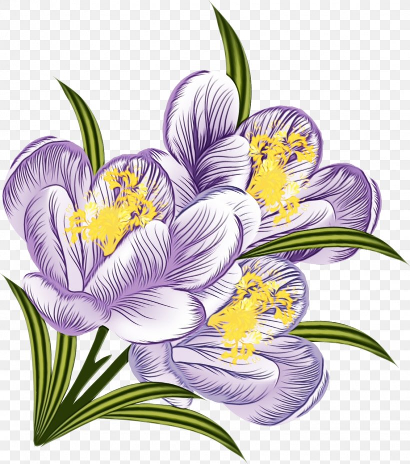 Flower Flowering Plant Plant Violet Petal, PNG, 1132x1280px, Watercolor, Crocus, Flower, Flowering Plant, Lily Download Free