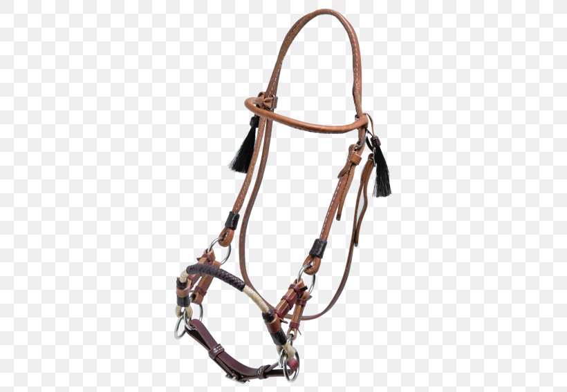 Horse Bridle Equestrian Schönswetter Leather, PNG, 550x568px, Horse, Accessoire, Bit, Bridle, Caballo De Sangre Caliente Download Free