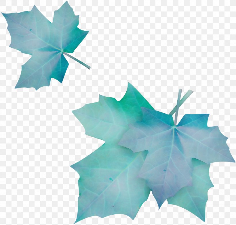 Maple Leaf, PNG, 1708x1634px, Watercolor, Flower, Ivy, Leaf, Maple Leaf Download Free