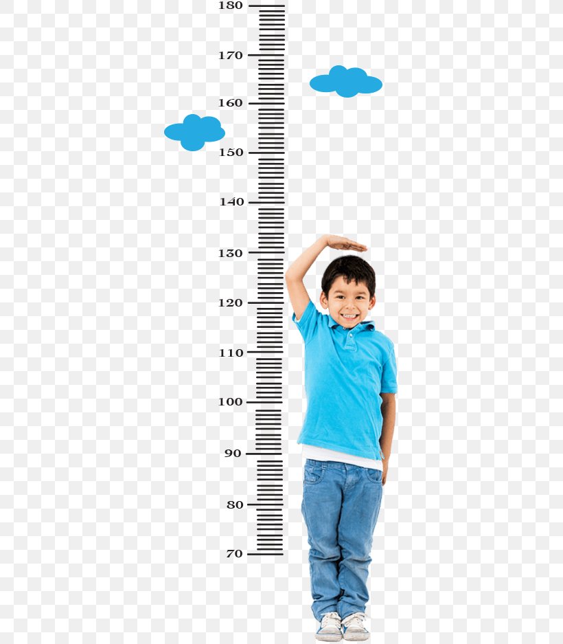 Measuring Height Child Measurement Human Height, PNG, 345x937px, Watercolor, Cartoon, Flower, Frame, Heart Download Free