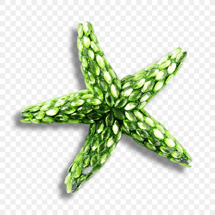 Starfish, PNG, 1063x1063px, Starfish, Cartoon, Grass, Gratis, Green Download Free