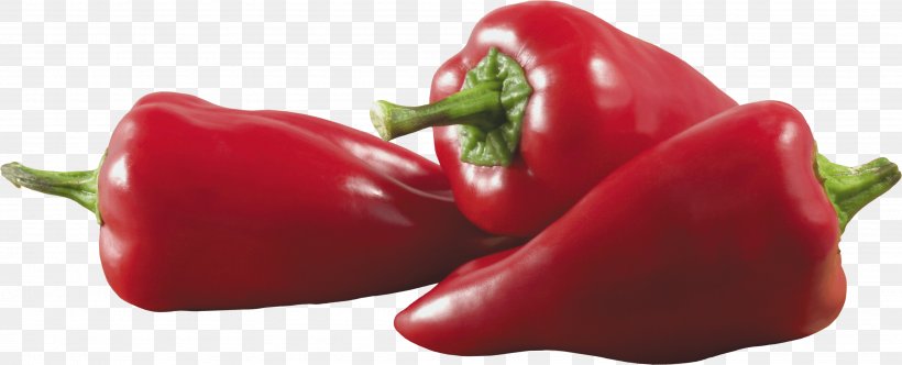 Chili Pepper Chili Con Carne Capsicum Black Pepper, PNG, 3593x1456px, Bell Pepper, Bell Peppers And Chili Peppers, Bhut Jolokia, Capsicum, Capsicum Annuum Download Free