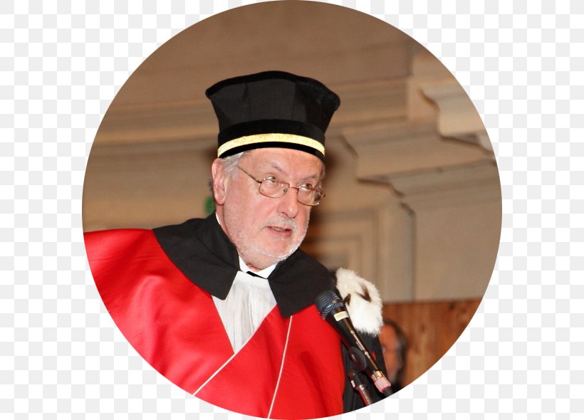 Academician Academic Dress Doctor Of Philosophy Academic Degree Clothing, PNG, 590x590px, Academician, Academic Degree, Academic Dress, Clothing, Doctor Of Philosophy Download Free