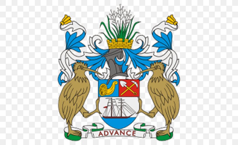 Escudo De Auckland Coat Of Arms T-shirt Heraldry, PNG, 500x500px, Auckland, Art, Artwork, Auckland Region, Beak Download Free