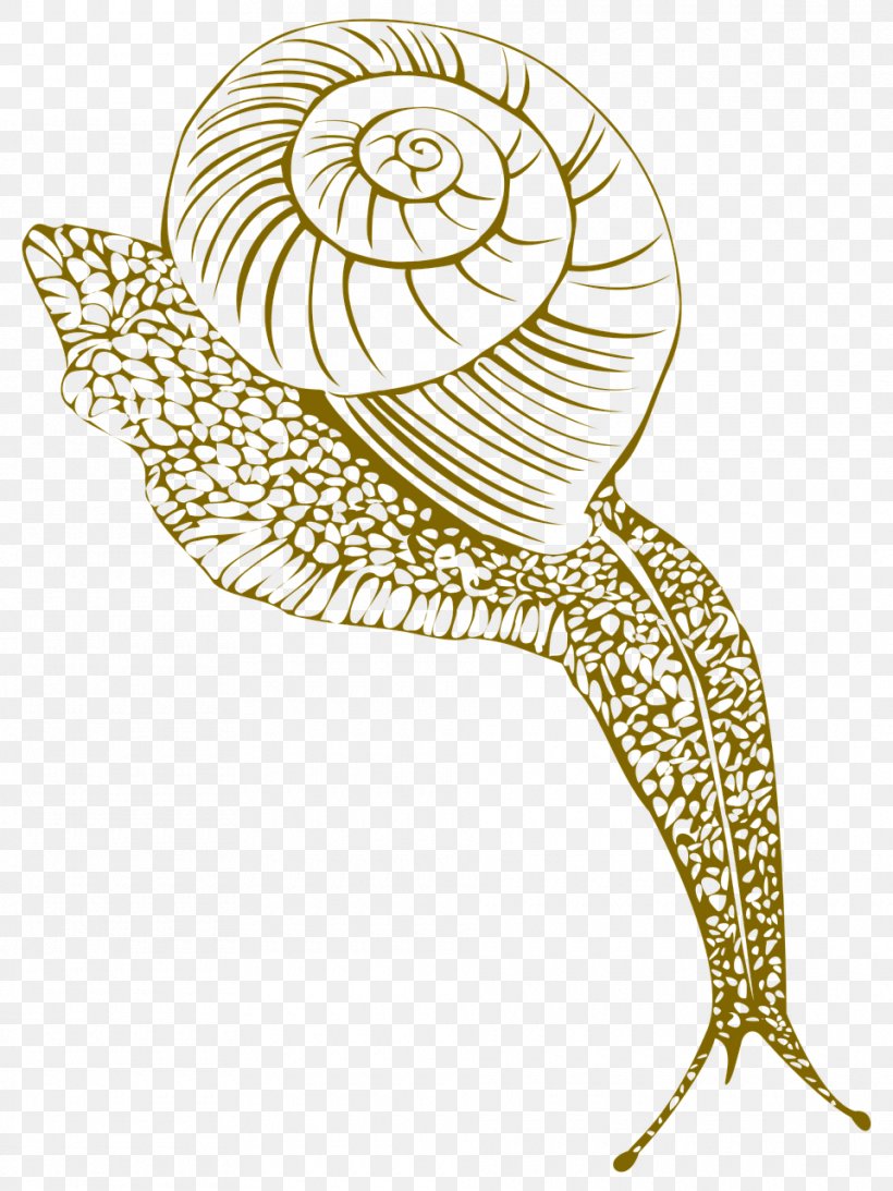 Gastropods Snail Gastropod Shell Seashell, PNG, 960x1280px, Gastropods, Animal, Art, Black And White, Conch Download Free