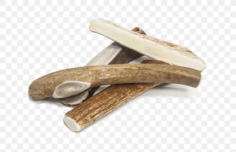 Prairie Dog Antler Elk Pet, PNG, 635x529px, Prairie Dog, Antler, Deer, Dog, Dog Biscuit Download Free