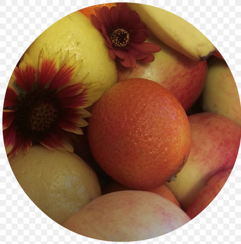Apple, PNG, 1909x1932px, Apple, Food, Fruit Download Free