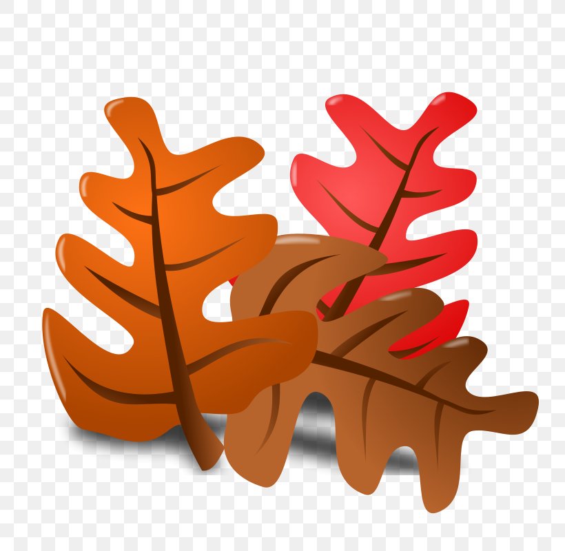 Autumn Leaf Color Free Content Clip Art, PNG, 800x800px, Autumn, Animation, Autumn Leaf Color, Blog, Color Download Free