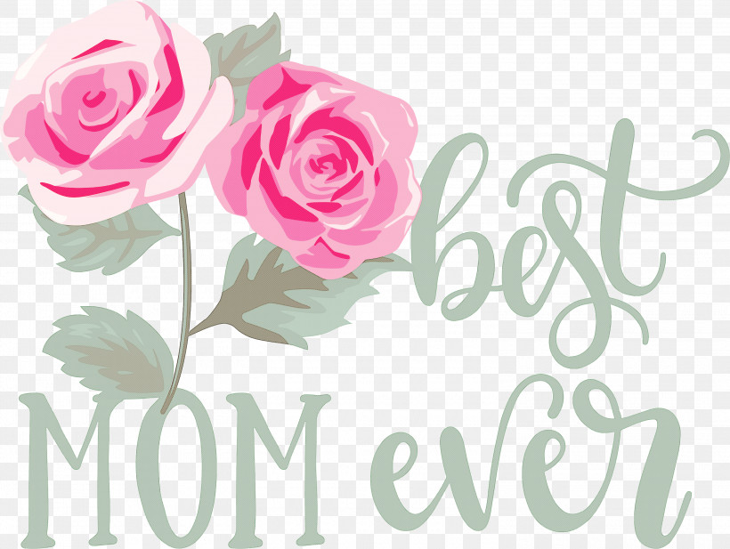 Mothers Day Best Mom Ever Mothers Day Quote, PNG, 3000x2258px, Mothers Day, Best Mom Ever, Blue Rose, Cabbage Rose, Cut Flowers Download Free