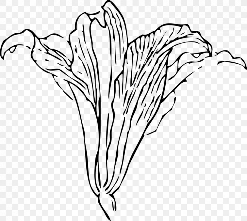 Vector Graphics Clip Art Easter Lily Flower, PNG, 835x750px, Easter Lily, Arumlily, Blackandwhite, Blossom, Botany Download Free
