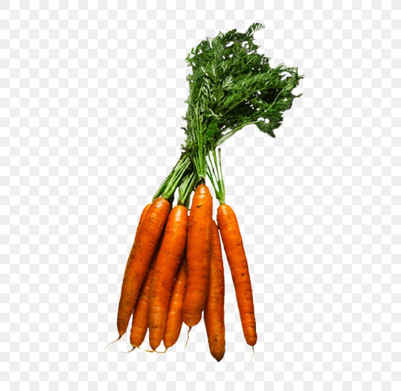 Baby Carrot Leaf Vegetable Fruit Food, PNG, 600x800px, Baby Carrot, Auglis, Bell Pepper, Calorie, Carrot Download Free
