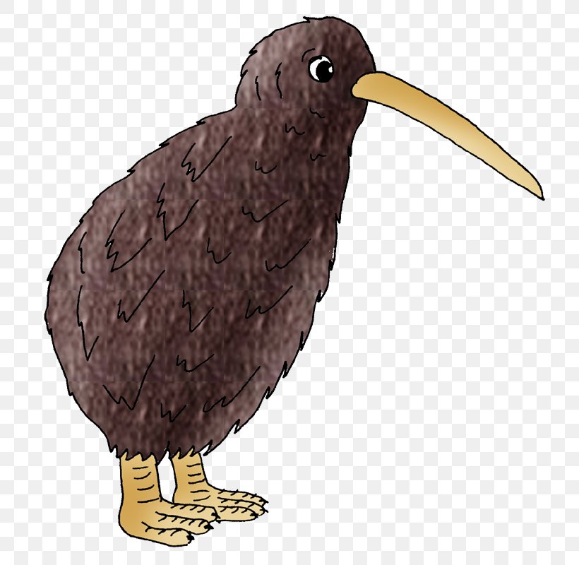 Bird Of Prey Beak Wing Fauna, PNG, 782x800px, Bird, Beak, Bird Of Prey, Fauna, Organism Download Free