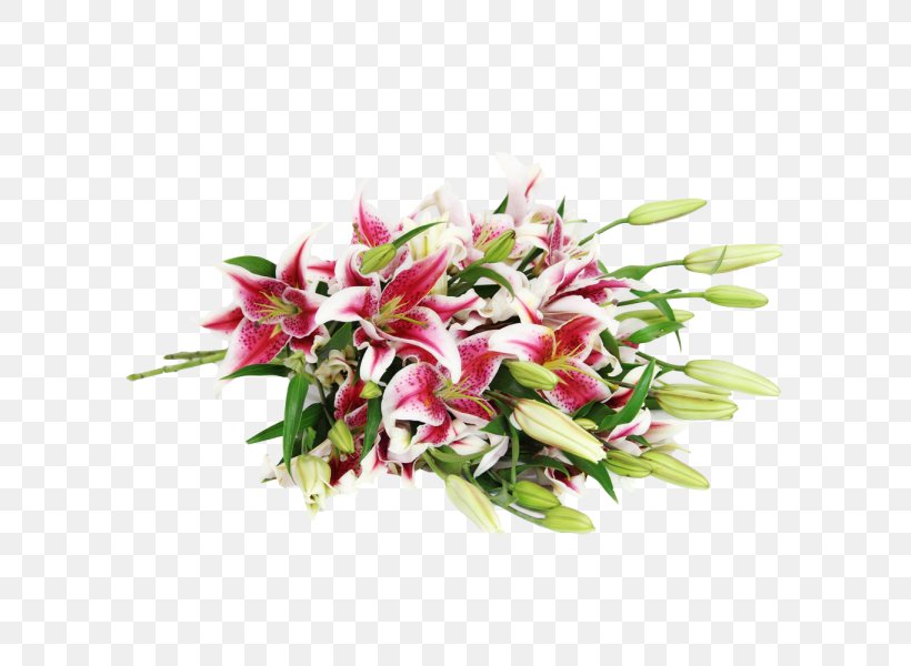 Flower Bouquet Lilium 'Stargazer' Cut Flowers, PNG, 600x600px, Flower Bouquet, Alstroemeriaceae, Cut Flowers, Fertilisation, Floral Design Download Free