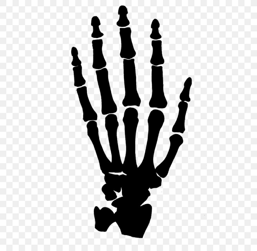 Human Skeleton Hand Png Anatomy Black And White Bone Carpal Bones | The ...