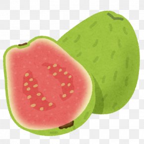 guava images guava transparent png free download guava images guava transparent png